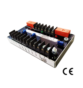DV2 DV2
Electronic Speed Switch